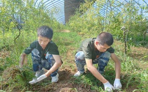 江门市蓬江区孩子叛逆期专门管教学校排行榜TOP前十,家长多比较! 江门市蓬江区孩子叛逆期专门管教学校排行榜TOP前十,家长多比较!